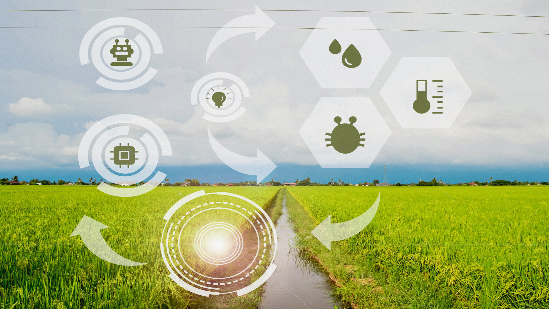 Innovacion-Agro-voltaica-Fusionando-Agricultura-y-Energía-Renovable