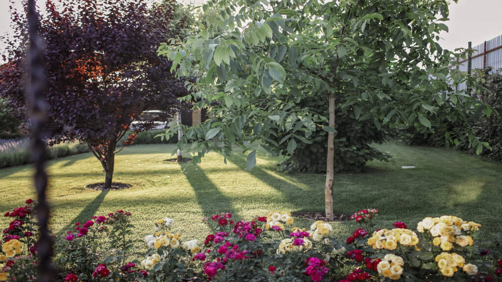 las-principales-plagas-de-los-jardines-en-verano-1920.jpg